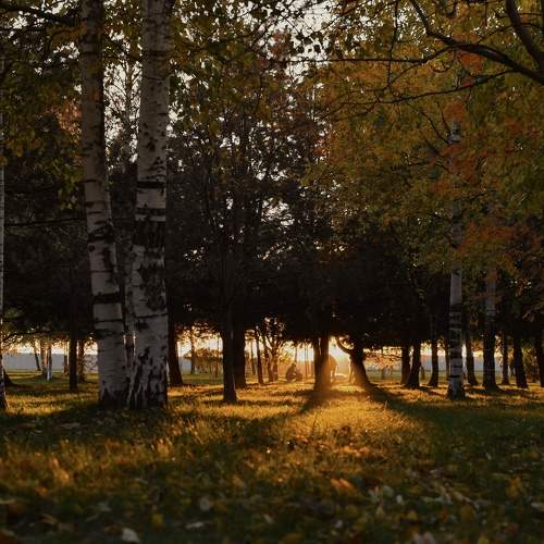 Photo #9593153