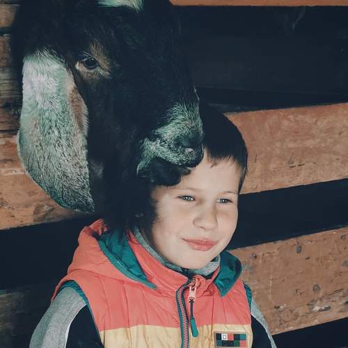Photo #9593166
