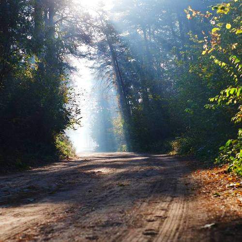 Photo #9593365