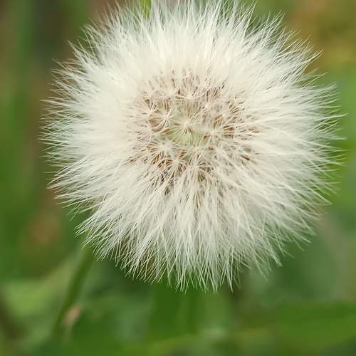 Photo #9593447