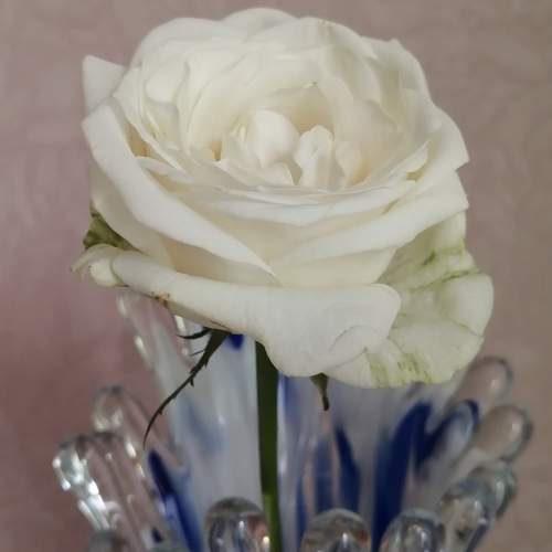 Photo #9593536