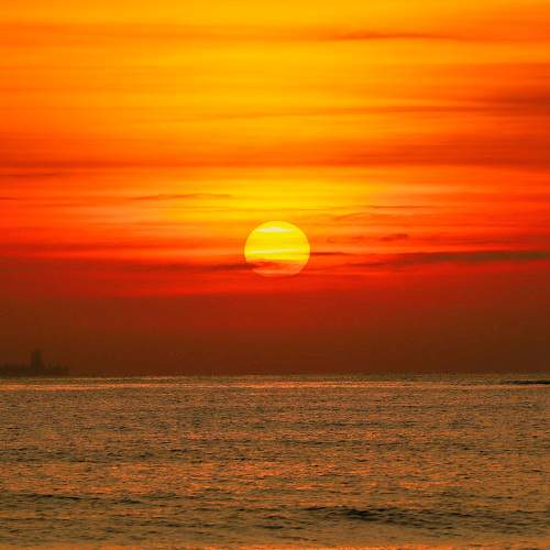 Photo #9593891