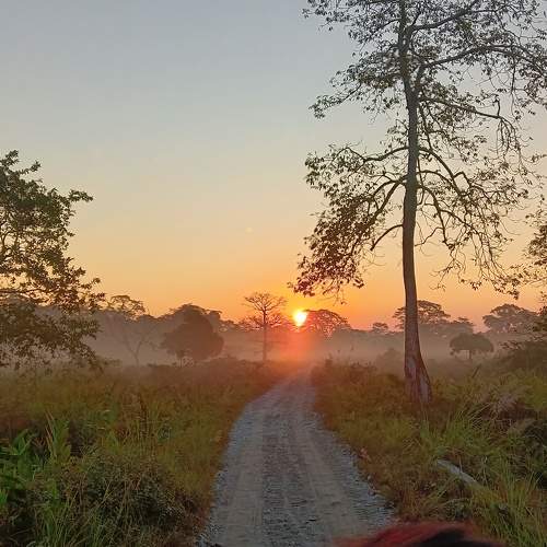 Photo #9594140