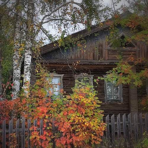 Photo #9594484