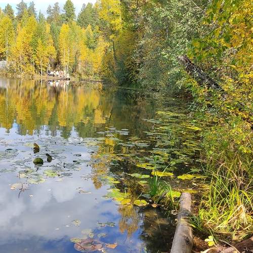 Photo #9594648
