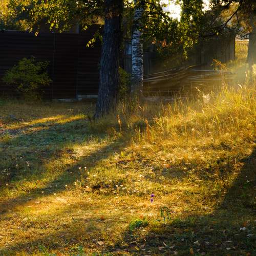 Photo #9594652
