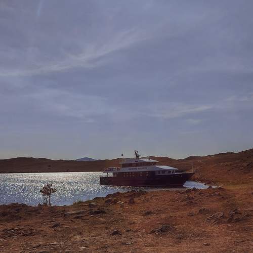Photo #9594692