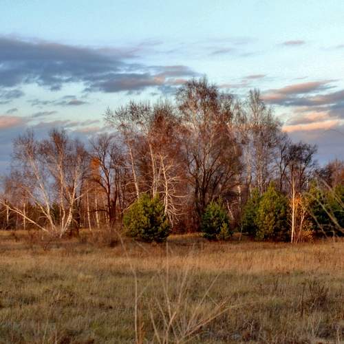 Photo #9594731