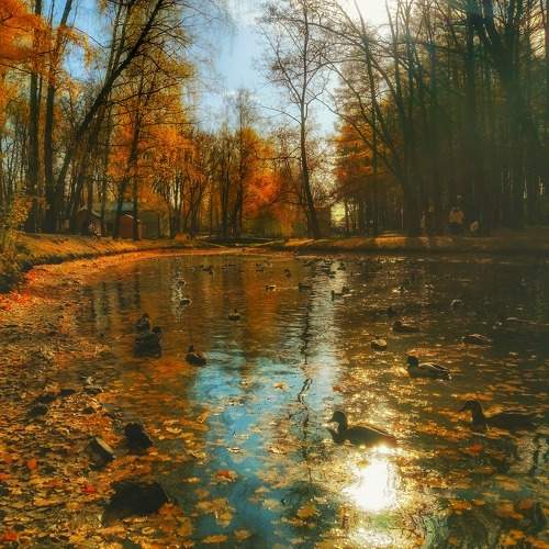 Photo #9595236