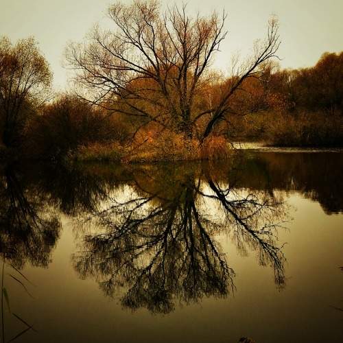 Photo #9595240