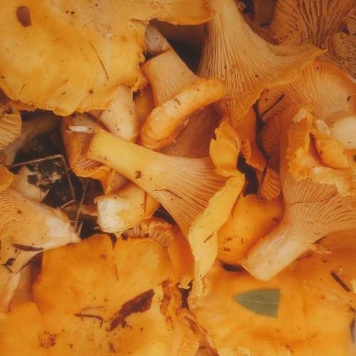 Photo #9595358