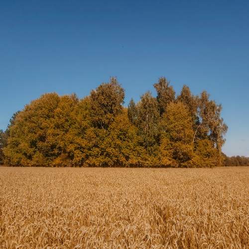Photo #9595398