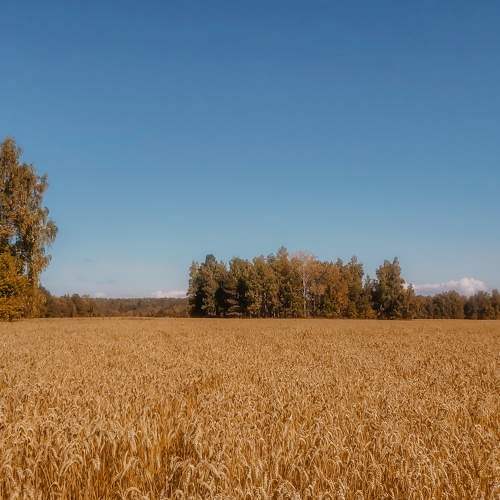 Photo #9595404