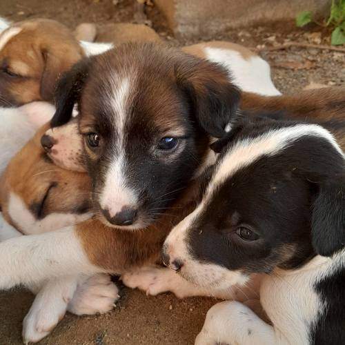 Photo #9595448
