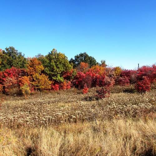 Photo #9595488