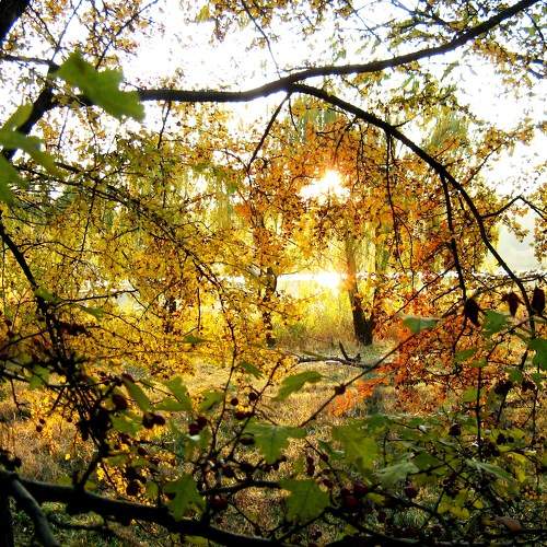 Photo #9595502