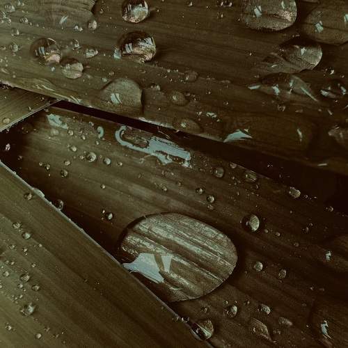 Photo #9595591