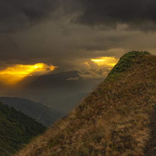 Photo #9595668