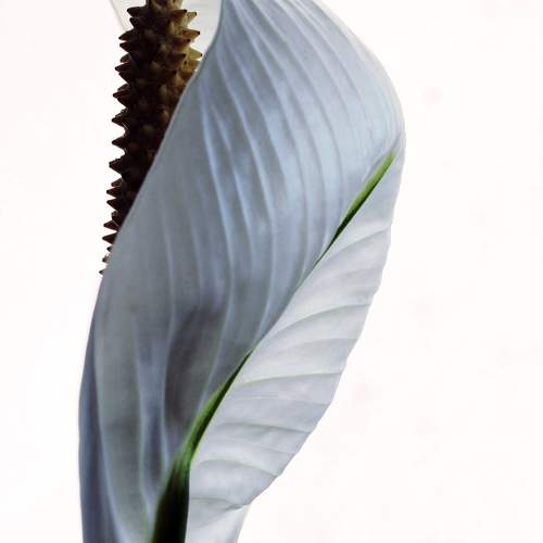 Photo #9595713