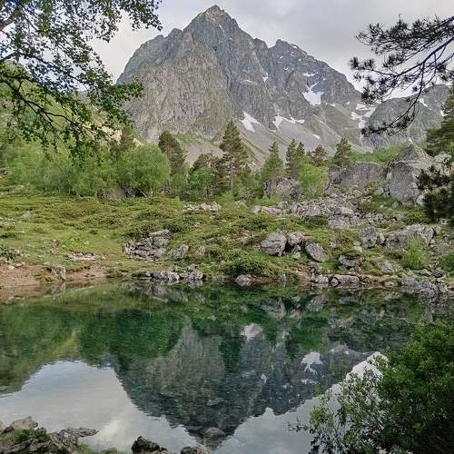 Photo #9595728