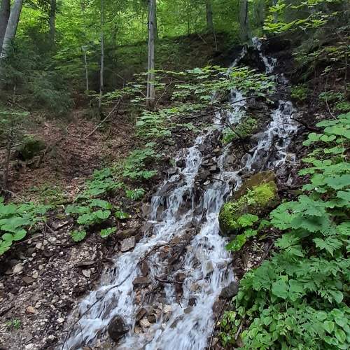 Photo #9595775