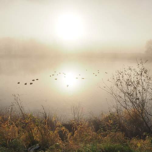 Photo #9595888