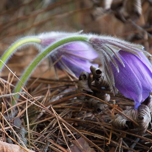 Photo #9596634