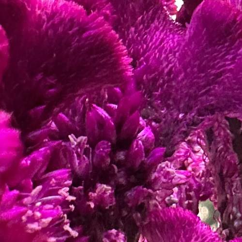 Photo #9596742