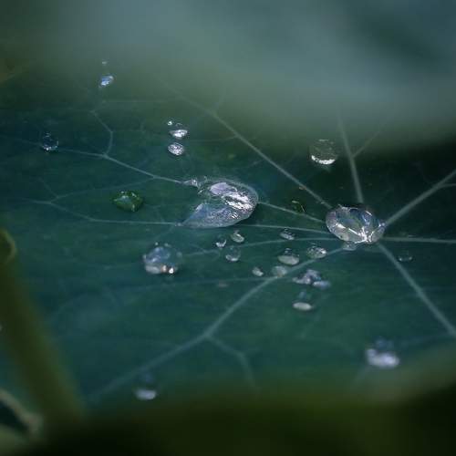 Photo #9596769