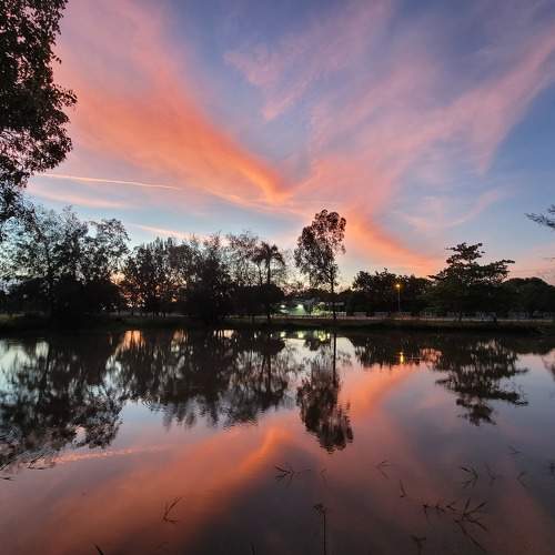 Cielo en la tierra