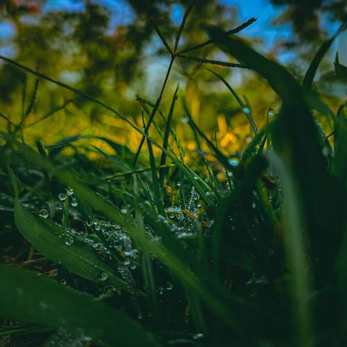 Photo #9597481