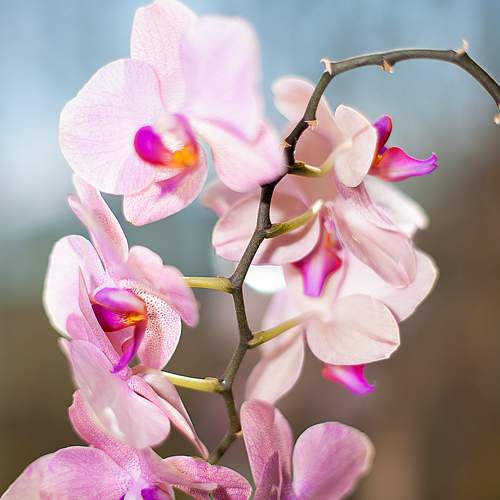 Photo #9597648