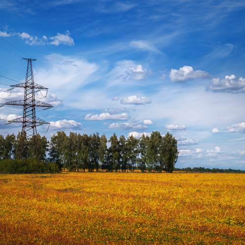 Фотография #9597651