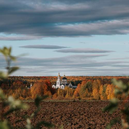Photo #9597689