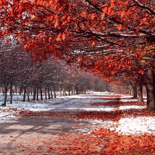 Photo #9597767