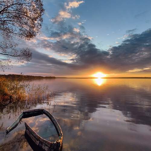Photo #9598393