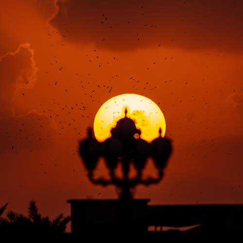 Solar Elegance: Street Lamp Embraces the Sunset