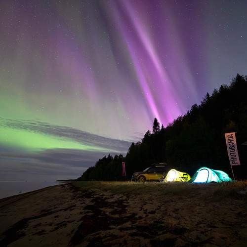 Photo #9598479