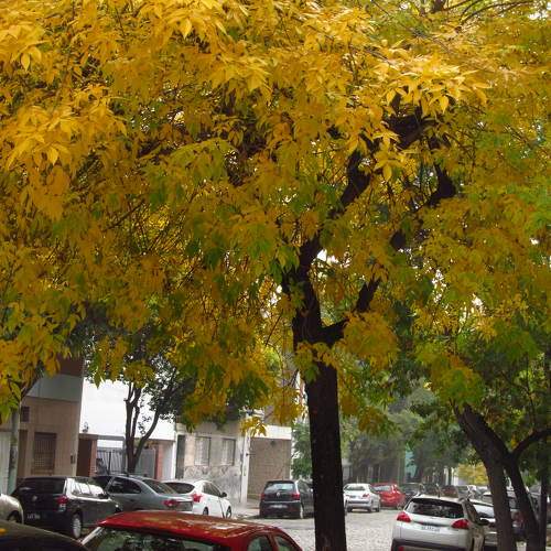 Photo #9598610