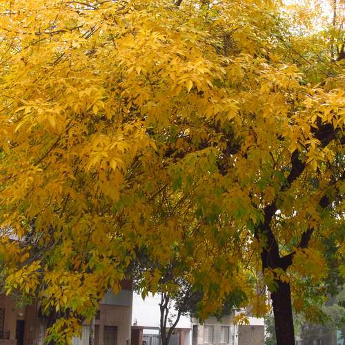 Photo #9598612