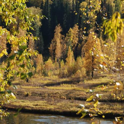 Photo #9598738