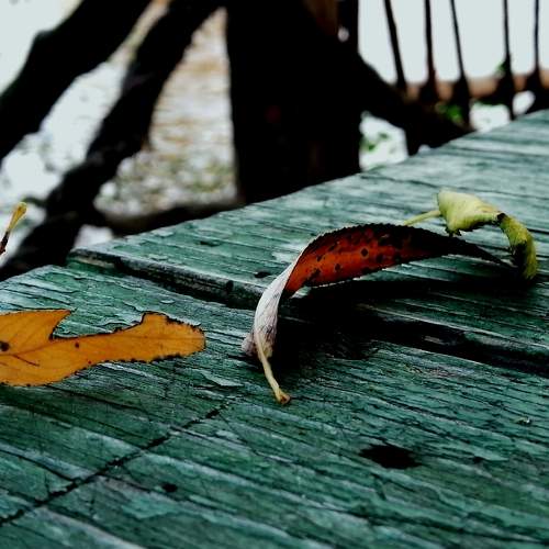 Photo #9598787