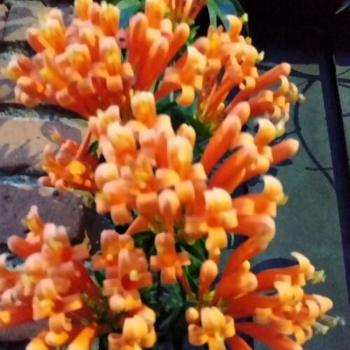 Photo #9599005