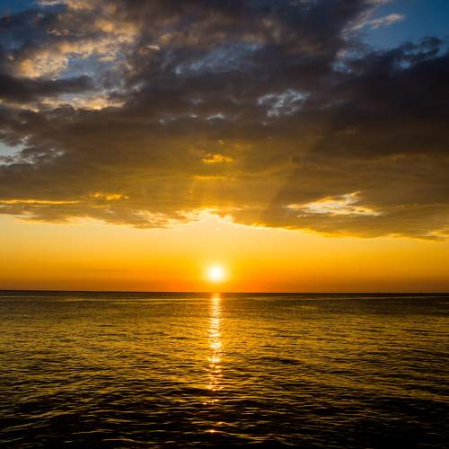 Photo #9599271