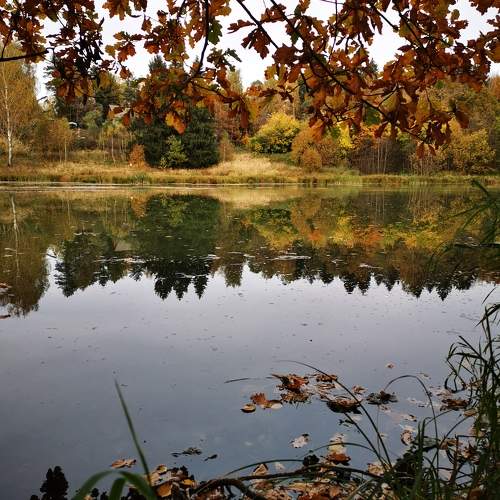 Photo #9599367