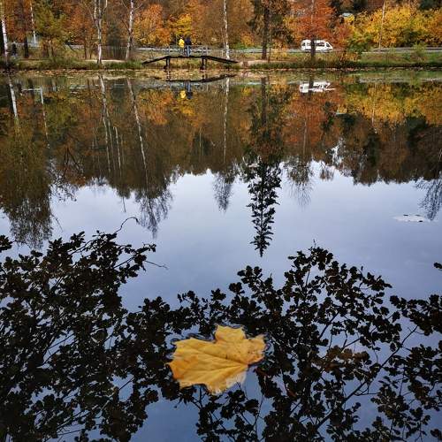 Photo #9599368