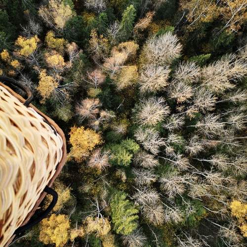 Photo #9599369