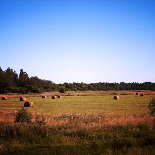 Photo #9599468