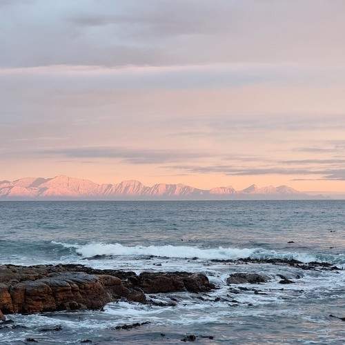 Photo #9599617