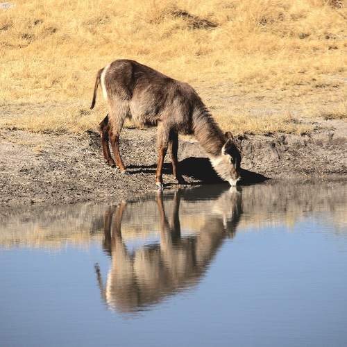 Photo #9599653